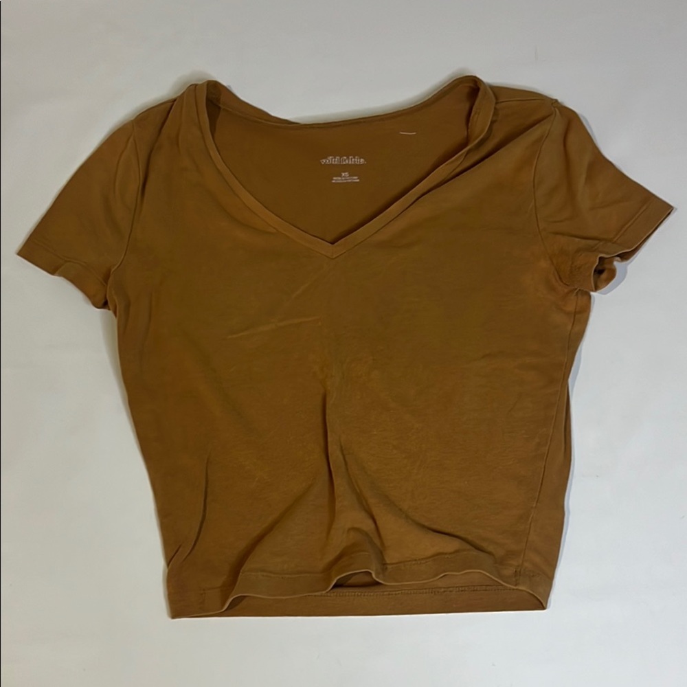 Wild Fable Brown Cropped Fitted T-Shirt